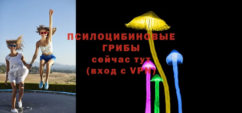 Псилоцибиновые грибы MAGIC MUSHROOMS  наркошоп  Далматово 